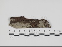 登錄號:F0034478藏品圖，第1張