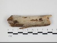 登錄號:F0034480藏品圖，第1張