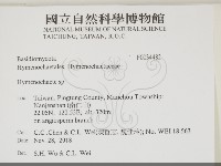 刺革菌屬藏品圖，第2張