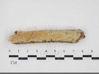 登錄號:F0034483藏品圖，第1張