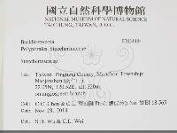 齒耳菌屬藏品圖，第2張