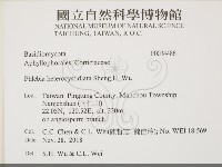 登錄號:F0034486藏品圖，第2張