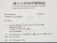 登錄號:F0034488藏品圖，第2張