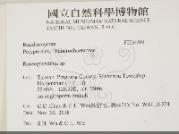 登錄號:F0034489藏品圖，第2張