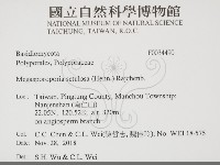 登錄號:F0034490藏品圖，第2張