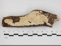 登錄號:F0034490藏品圖，第1張