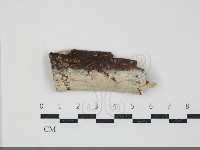 登錄號:F0034491藏品圖，第1張