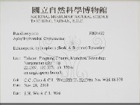 登錄號:F0034492藏品圖，第2張