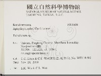 登錄號:F0034494藏品圖，第2張