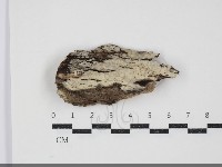 登錄號:F0034494藏品圖，第1張