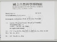 登錄號:F0034495藏品圖，第2張