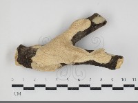 登錄號:F0034495藏品圖，第1張