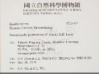 登錄號:F0034497藏品圖，第2張