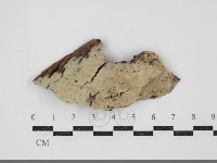 登錄號:F0034497藏品圖，第1張