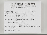 登錄號:F0034498藏品圖，第2張