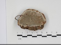 登錄號:F0034498藏品圖，第3張