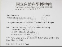 登錄號:F0034499藏品圖，第2張