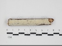 登錄號:F0034499藏品圖，第1張