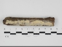 登錄號:F0034502藏品圖，第1張