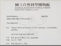 登錄號:F0034503藏品圖，第2張