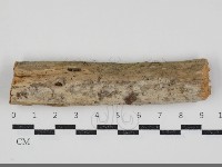登錄號:F0034503藏品圖，第1張