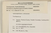登錄號:F0034503藏品圖，第3張