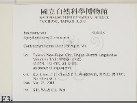 登錄號:F0034508藏品圖，第2張