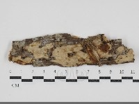 登錄號:F0034508藏品圖，第1張