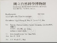 登錄號:F0034511藏品圖，第2張