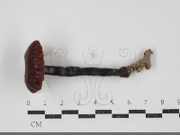 登錄號:F0034512藏品圖，第1張