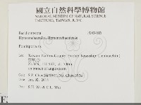 登錄號:F0034515藏品圖，第2張