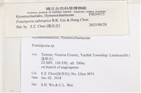 登錄號:F0034515藏品圖，第4張