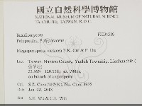 登錄號:F0034516藏品圖，第2張