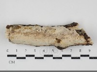 登錄號:F0034516藏品圖，第1張