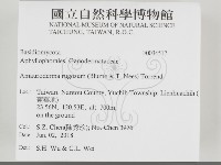 登錄號:F0034517藏品圖，第2張