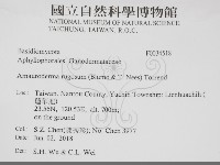 登錄號:F0034518藏品圖，第2張