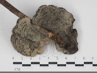 登錄號:F0034518藏品圖，第3張