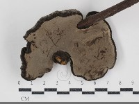 登錄號:F0034518藏品圖，第4張