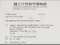 登錄號:F0034522藏品圖，第2張