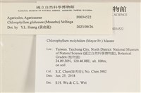 登錄號:F0034522藏品圖，第4張