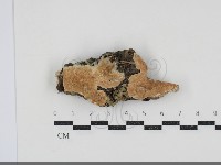 登錄號:F0034523藏品圖，第1張