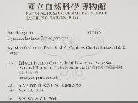 登錄號:F0034524藏品圖，第2張