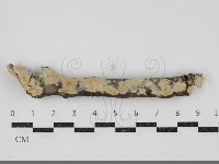 登錄號:F0034524藏品圖，第1張