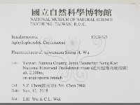 登錄號:F0034525藏品圖，第2張