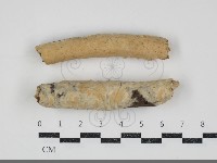 登錄號:F0034525藏品圖，第1張