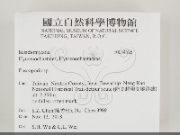 登錄號:F0034526藏品圖，第2張