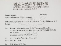 登錄號:F0034528藏品圖，第2張