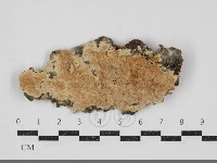 登錄號:F0034528藏品圖，第1張