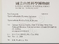 登錄號:F0034529藏品圖，第2張