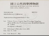 登錄號:F0034531藏品圖，第2張